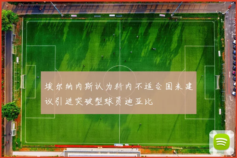 埃尔纳内斯认为科内不适合国米建议引进突破型球员迪亚比