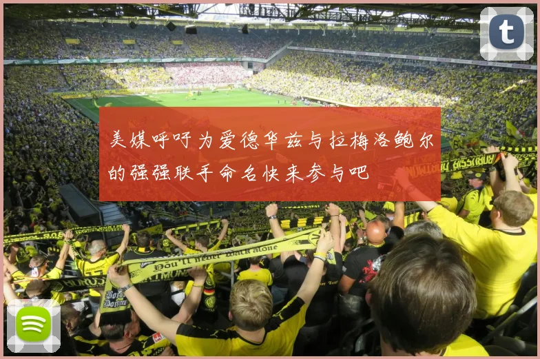 美媒呼吁为爱德华兹与拉梅洛鲍尔的强强联手命名快来参与吧